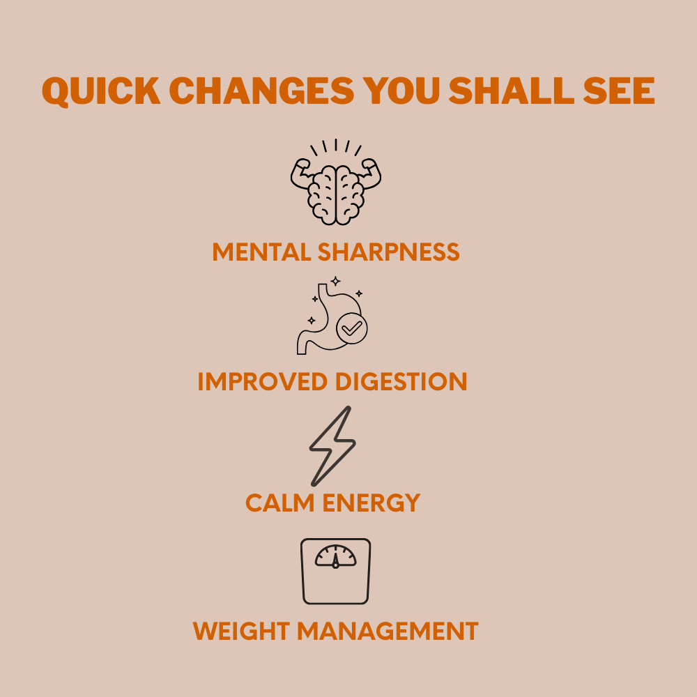 Digestive Balance Plate - Woof Think - Level 2 - Sand Beige