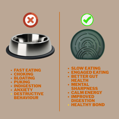 Digestive Balance Plate - Woof Think - Level 2 - Forest Green