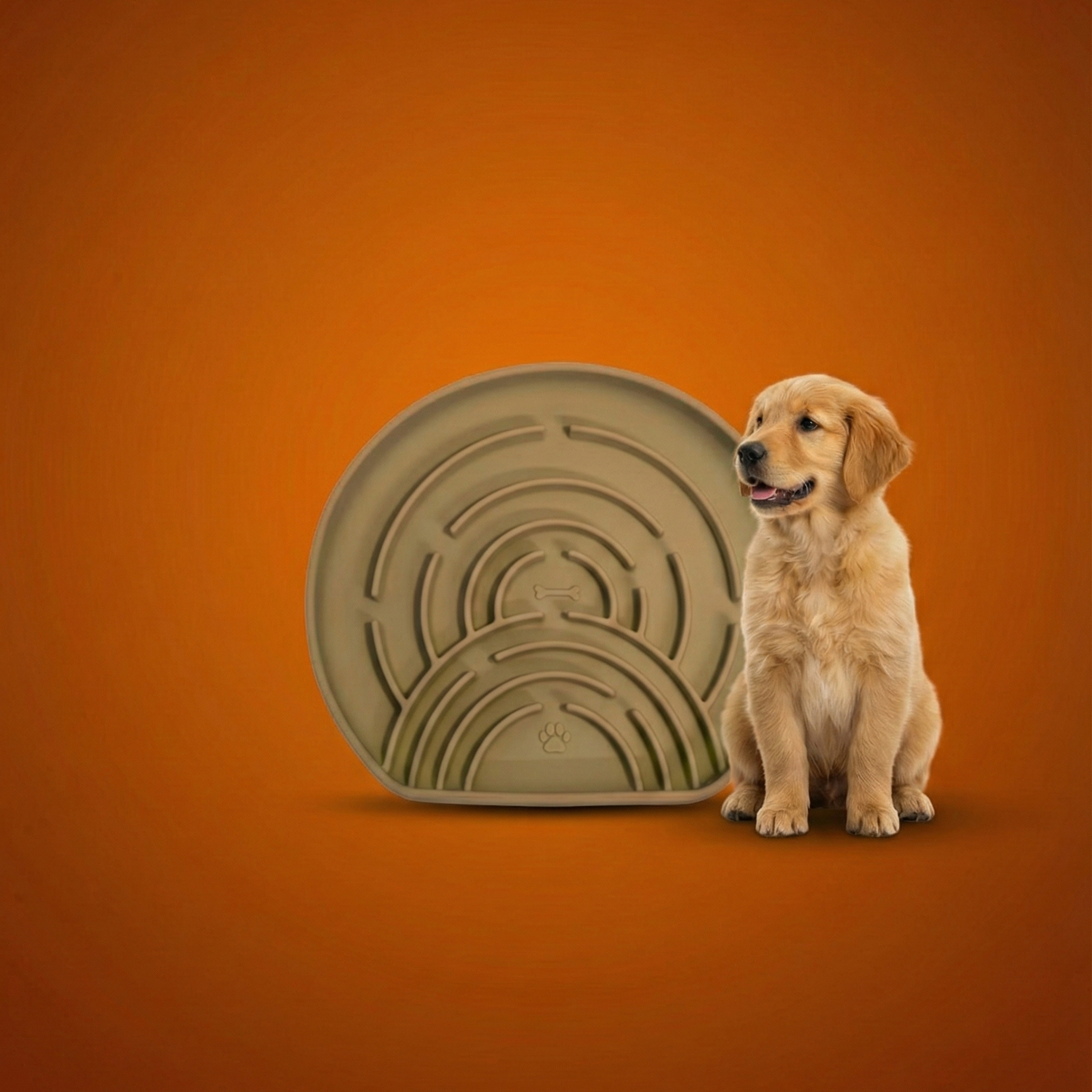 Silicone Slow Feeder for dogs to enrich their minds reduce anxiety and bloating 