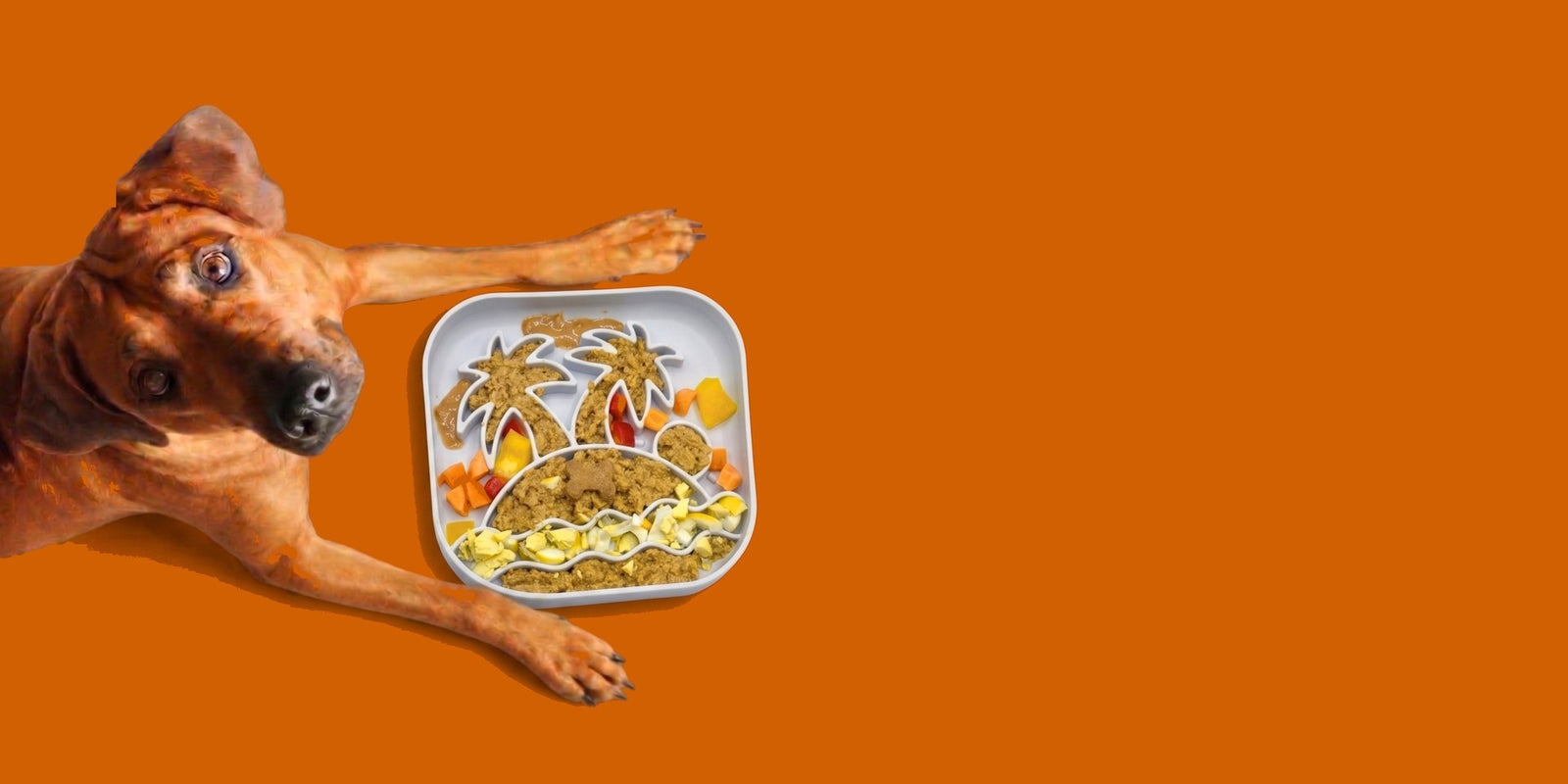 Big Woof slow feeder bowl
