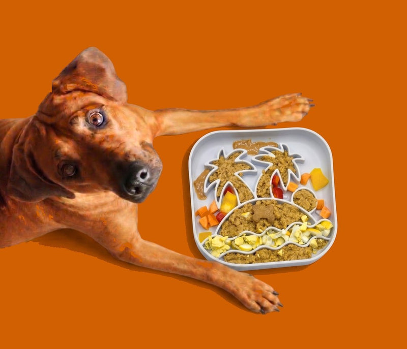 Big Woof slow feeder bowl