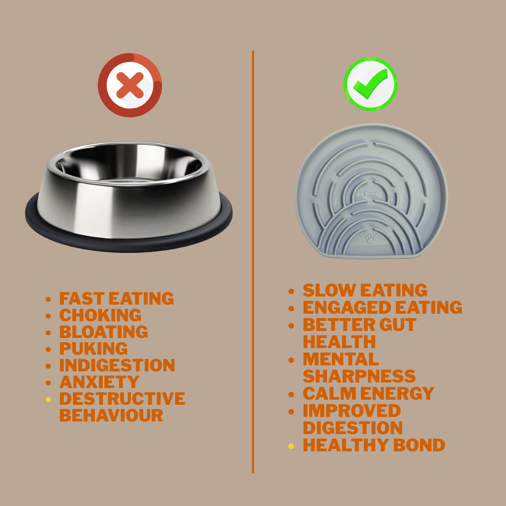 Digestive Balance Plate - Woof Think - Level 2 - Sky Blue