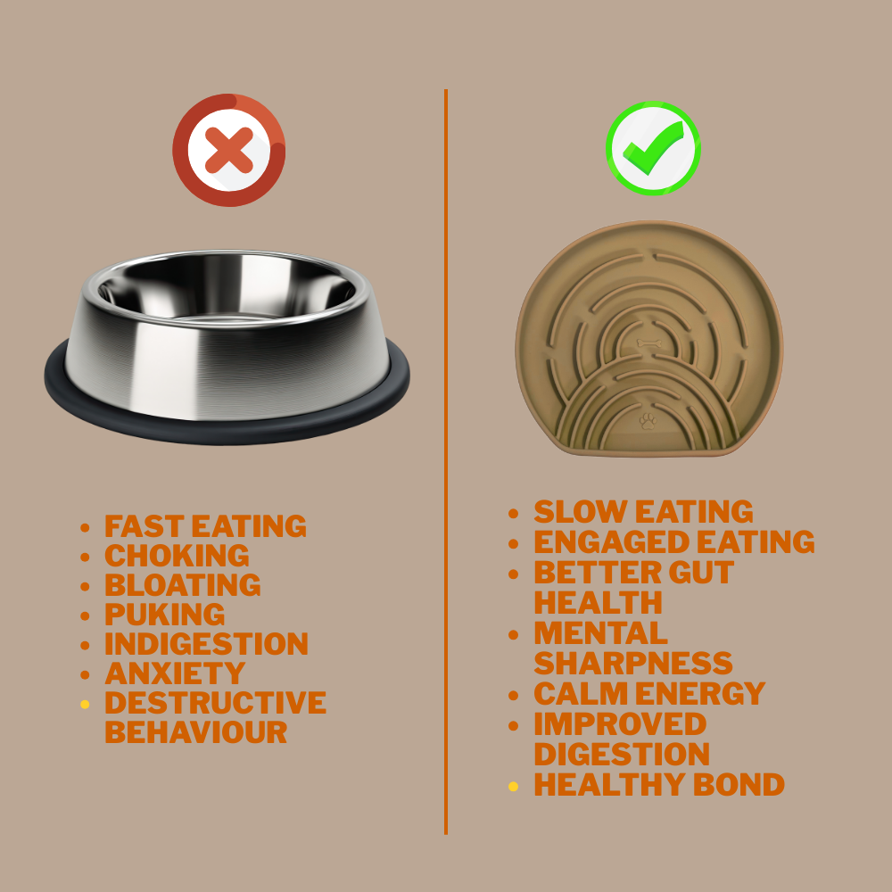 Digestive Balance Plate - Woof Think - Level 2 - Sand Beige