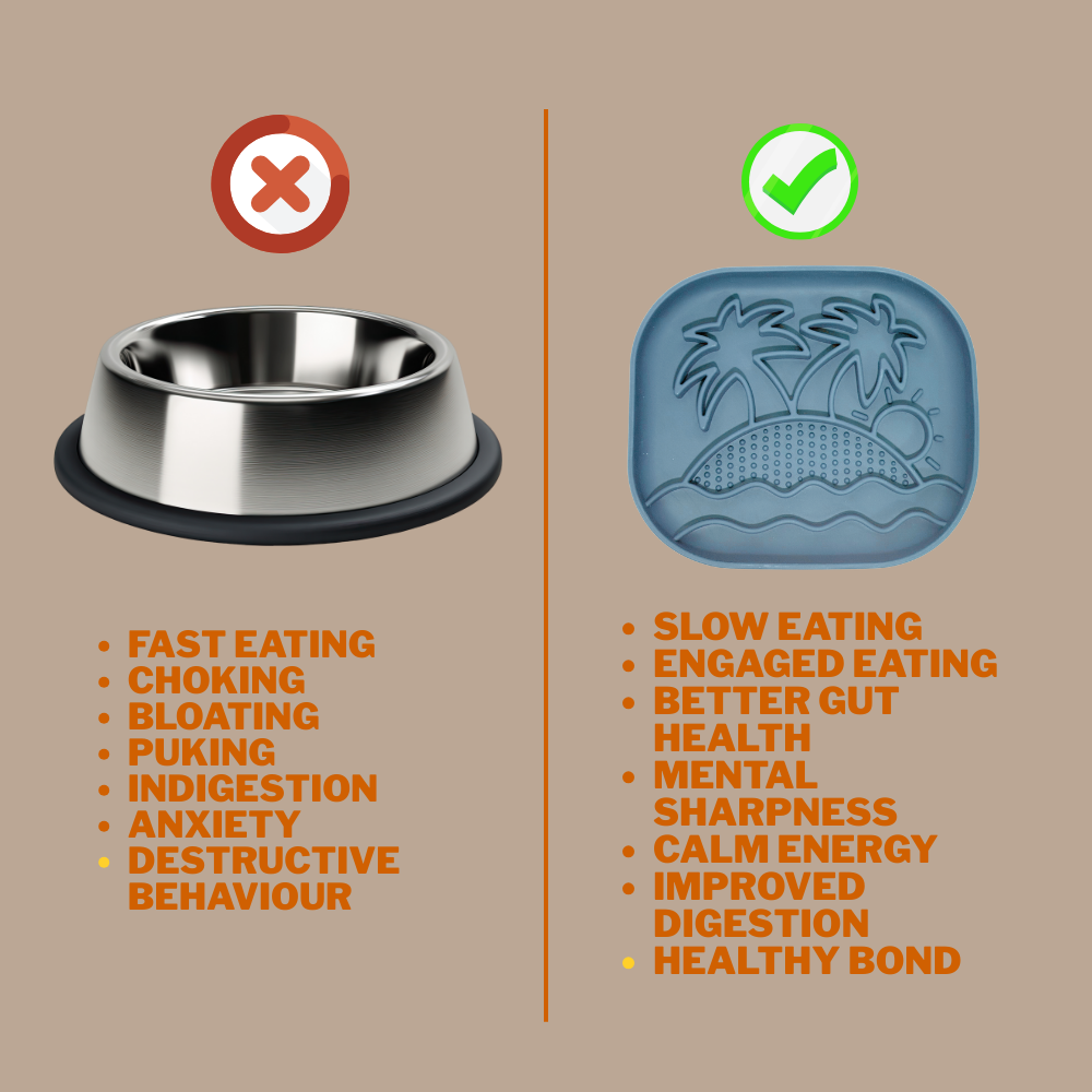 Calm Eating Plate- Woof Start - Level 1  - Sky Blue