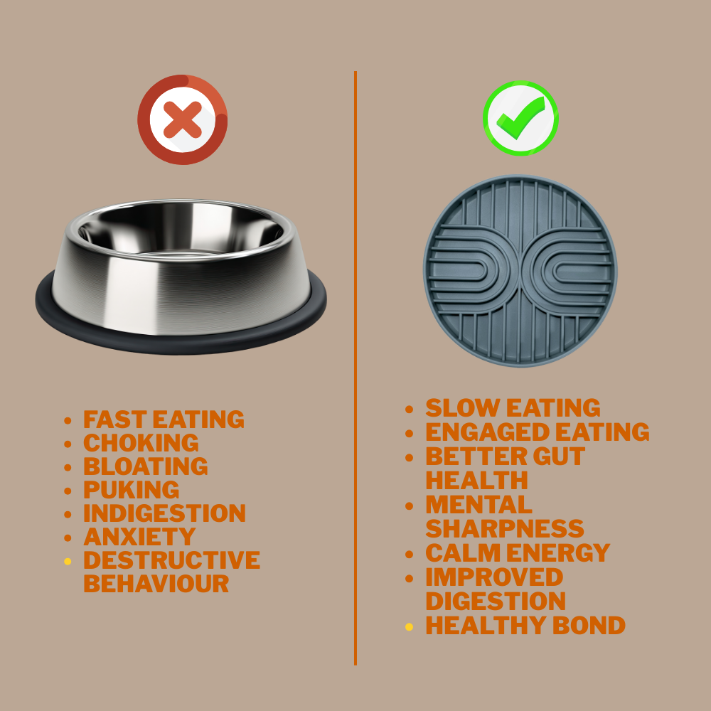 Gut + Brain plate - Woof Master - Level 3 - Sky Blue