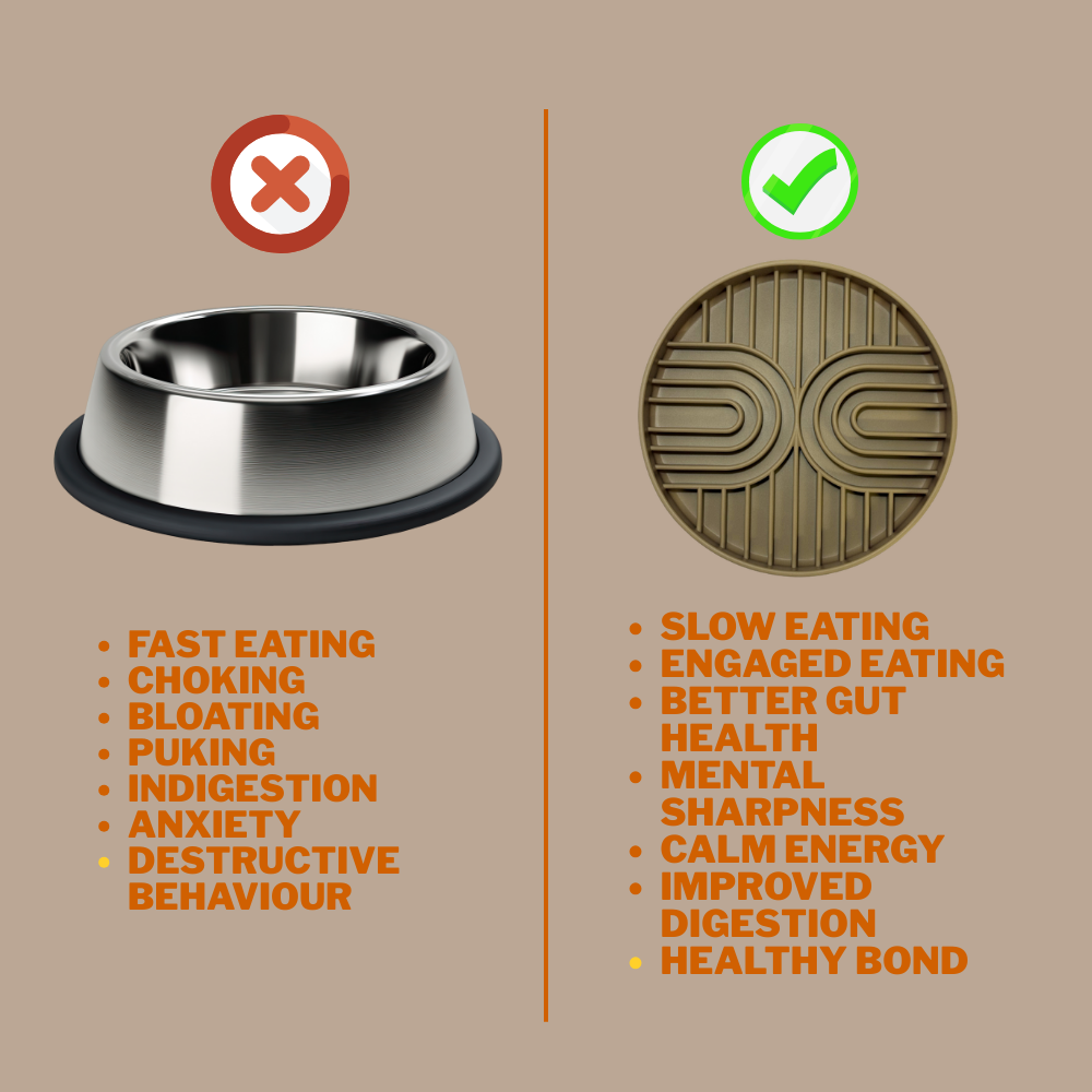 Gut + Brain plate - Woof Master - Level 3 -Sand Beige