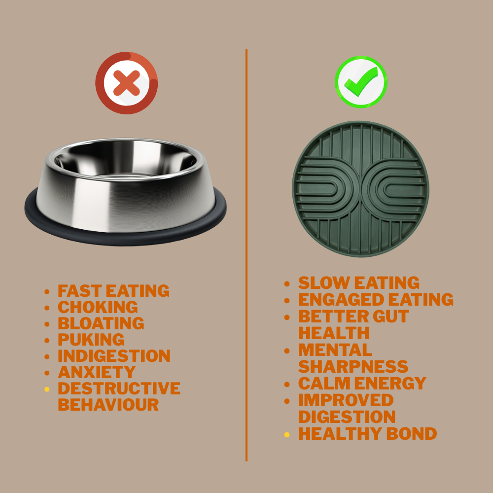 Gut + Brain plate - Woof Master - Level 3 - Forest Green