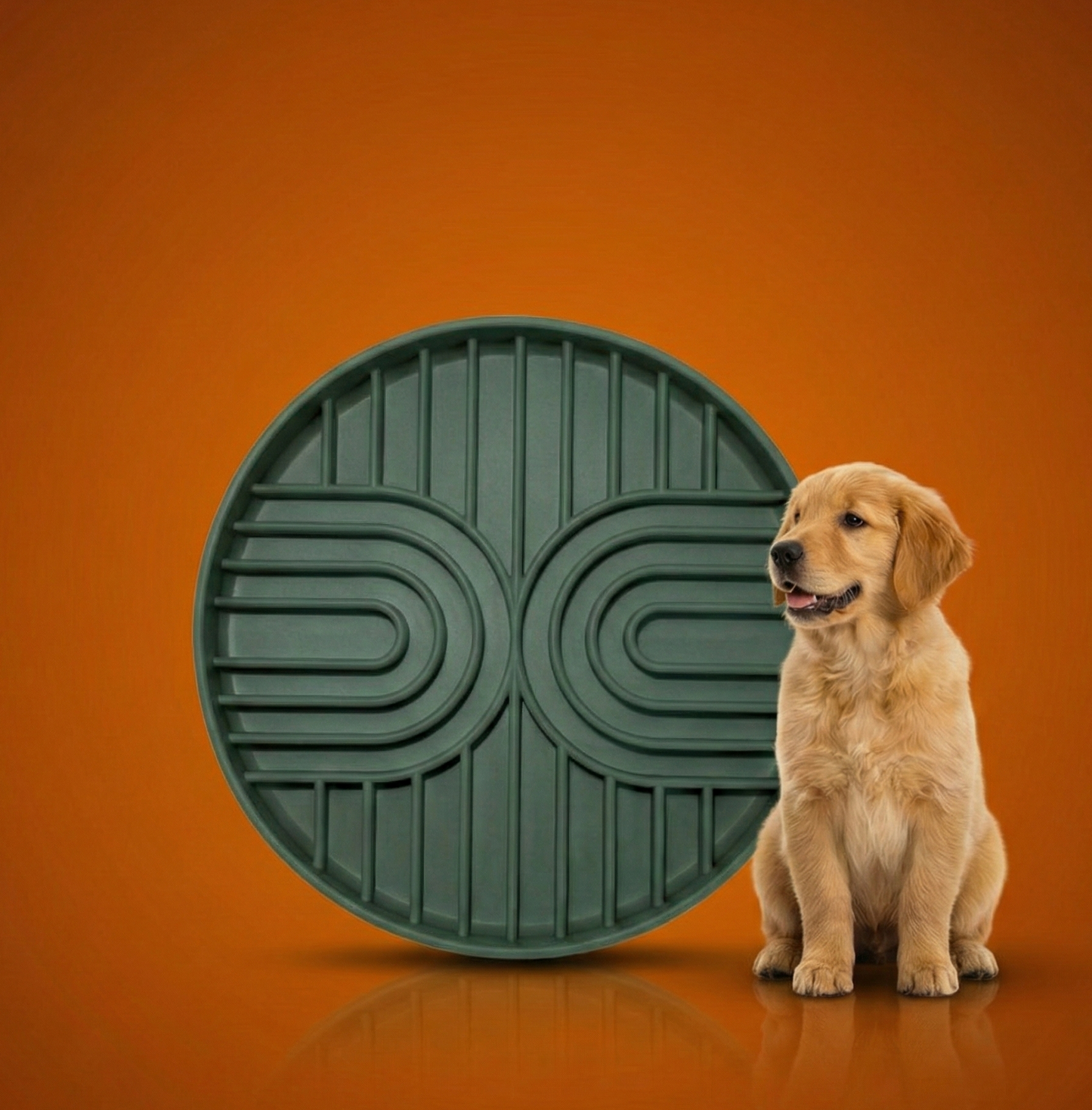 Silicone Slow Feeder for dogs to enrich their minds reduce anxiety and bloating 