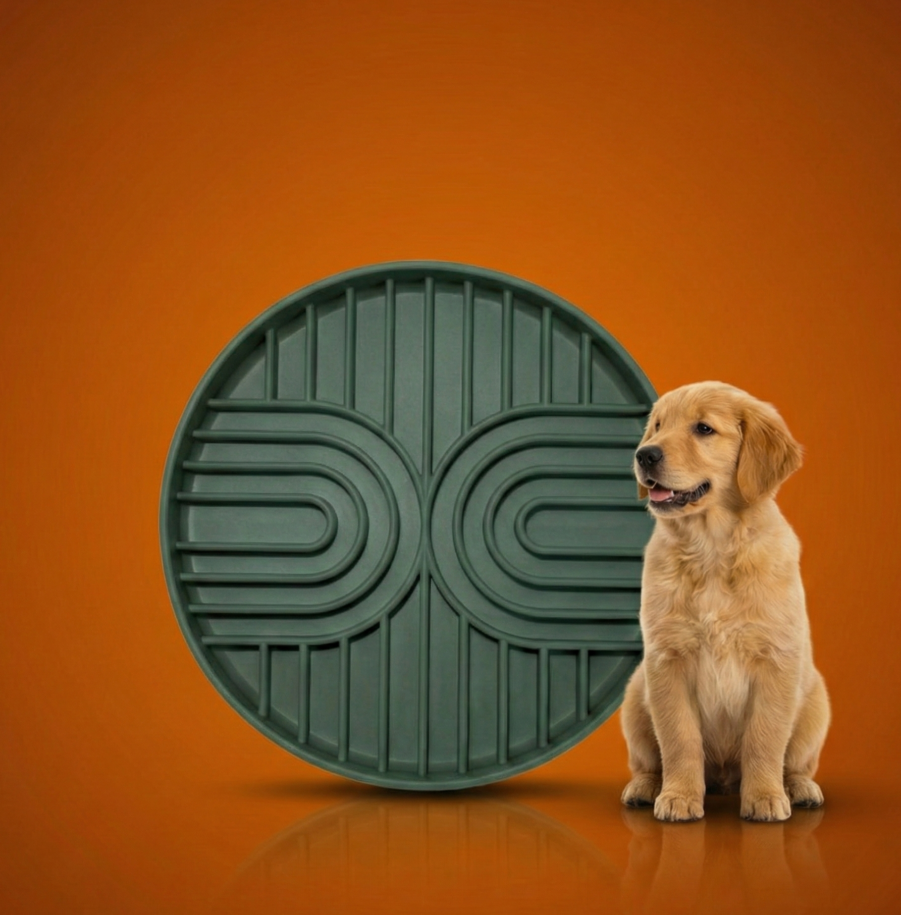 Silicone Slow Feeder for dogs to enrich their minds reduce anxiety and bloating 